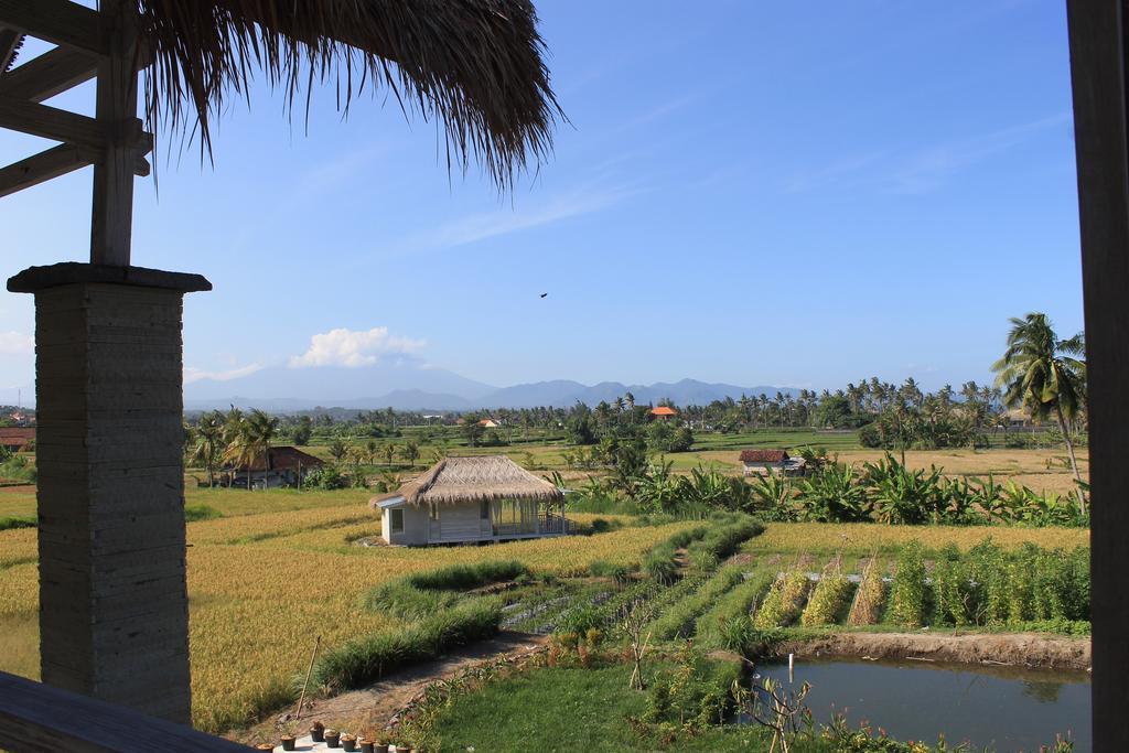 Barn N Bunk Hotel Payangan Esterno foto