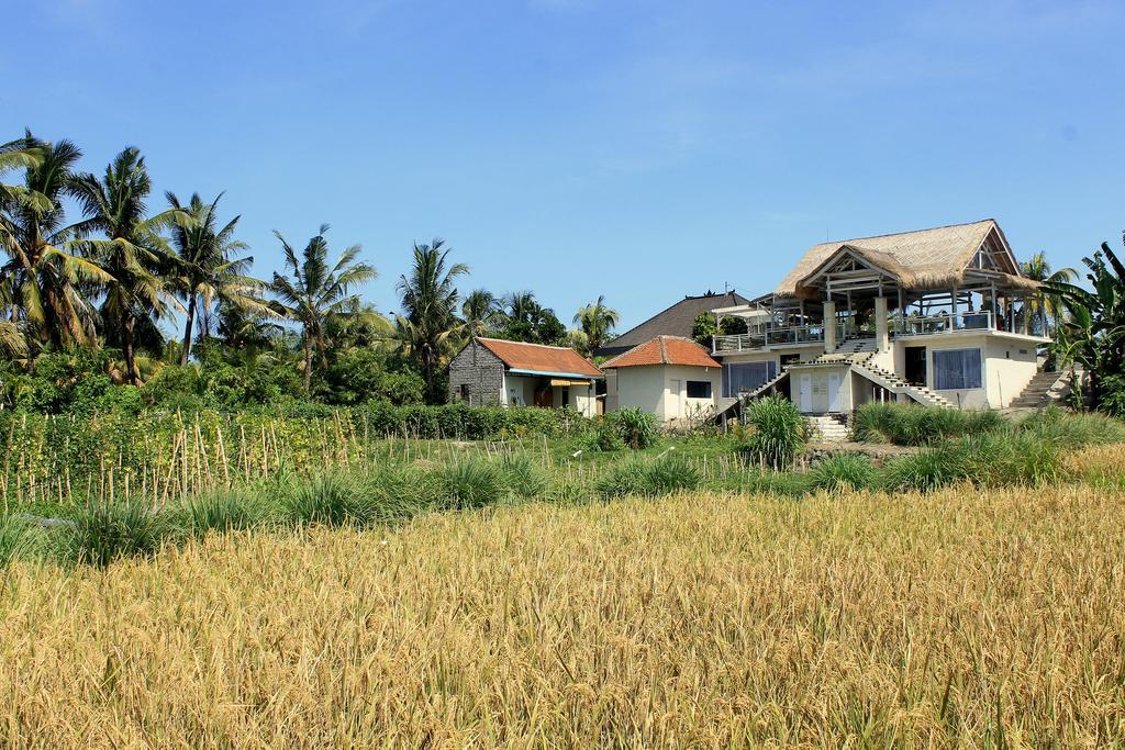 Barn N Bunk Hotel Payangan Esterno foto