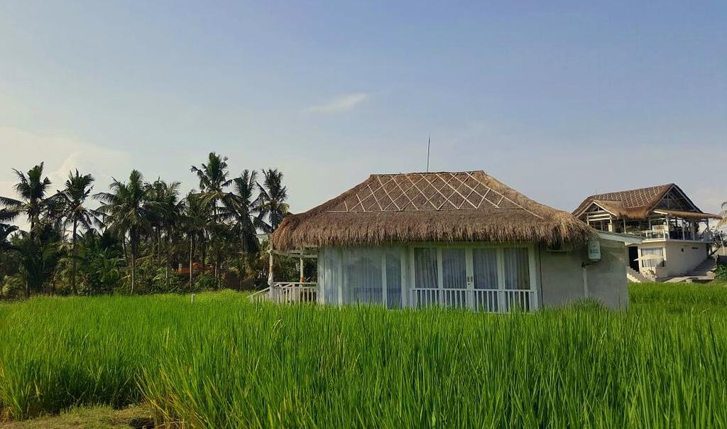 Barn N Bunk Hotel Payangan Esterno foto